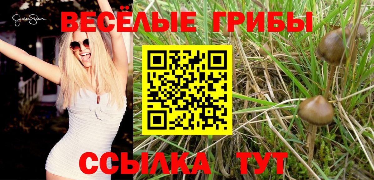 Галлюциногенные грибы мицелий Сызрань