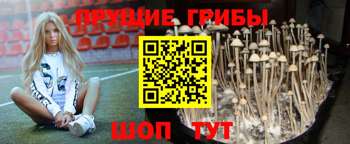 Псилоцибиновые грибы Cubensis  Вход с VPN  Сызрань  Галлюциногенные грибы MAGIC MUSHROOMS 